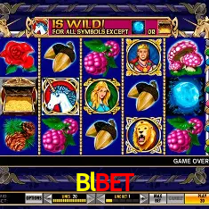Blbet Rio de Janeiro - Bonus Terms